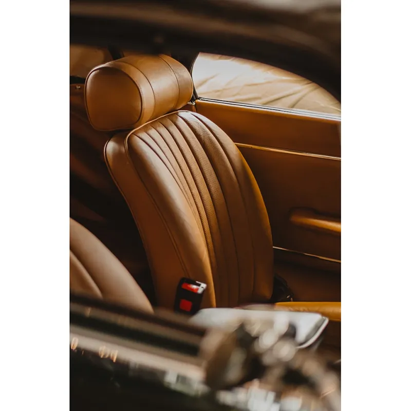 Protetor de assento de carro bloqueado por cor Scratch Guard